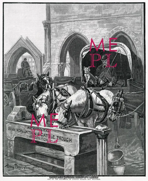  : Metropolitan Drinking Fountain & Cattle Trough 1895