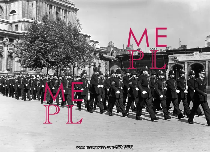 : Metropolitan Police centenary celebrations, Central London : Metropolitan Police centenary celebrations, Central London