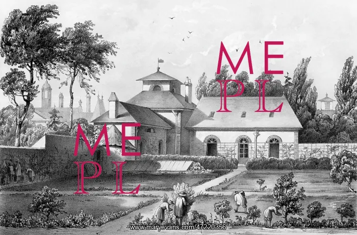 : METTRAY : HORTICULTURE : METTRAY : HORTICULTURE