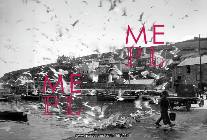 : Mevagissey, 1930