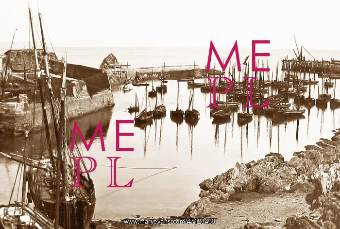  : Mevagissey Harbour