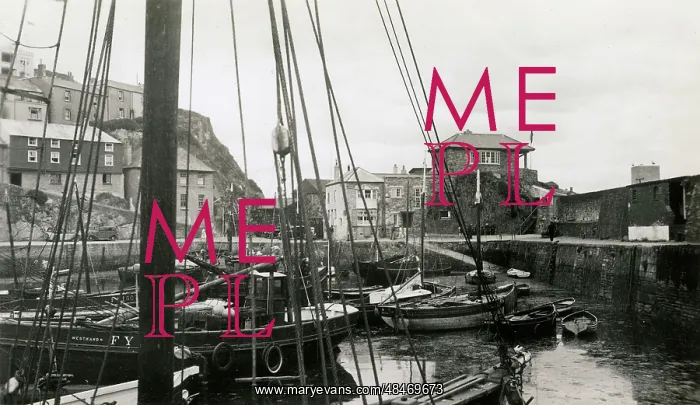  : Mevagissey harbour, Cornwall