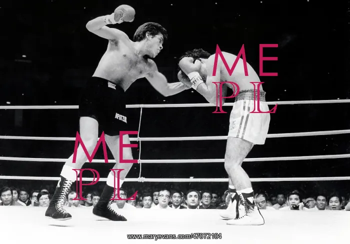 : Mexican champion K.O's Japanese challenger : Mexican champion K.O's Japanese challenger