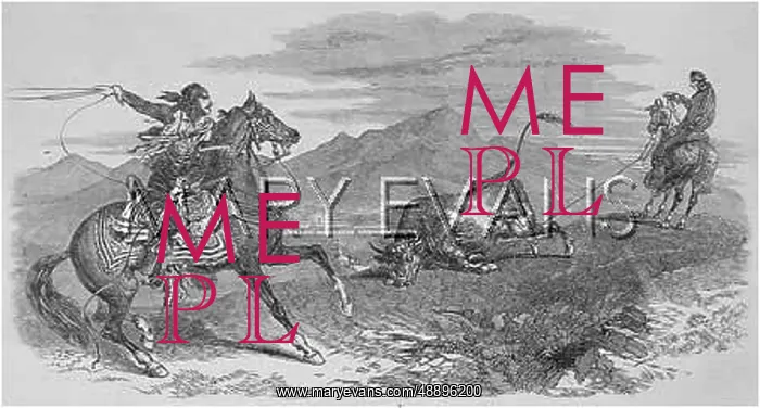 : MEXICAN COWBOYS : MEXICAN COWBOYS