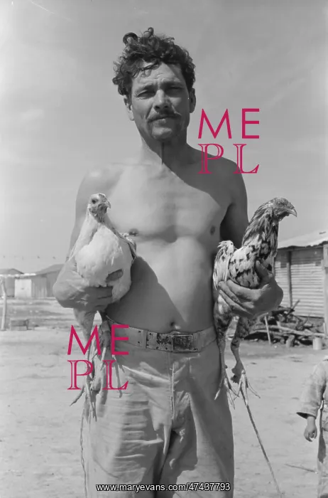 : Mexican with his two fighting cocks, Crystal City, Texas : Mexican with his two fighting cocks, Crystal City, Texas