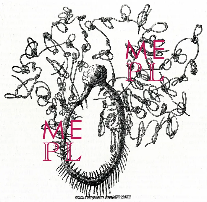 : MEXICAN QUIPU (1857) : MEXICAN QUIPU (1857)
