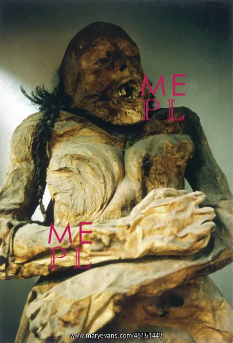 : MEXICO / MUMMY (STACY) : MEXICO / MUMMY (STACY)