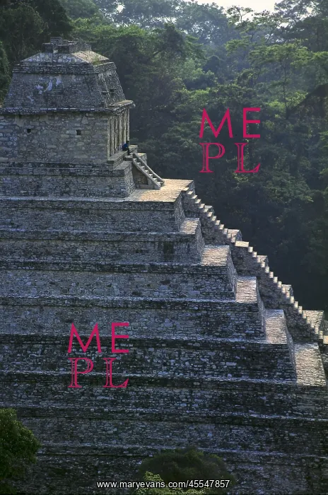: Mexico. Palenque. Temple of the Inscriptions : Mexico. Palenque. Temple of the Inscriptions
