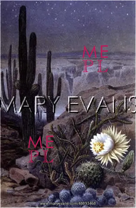 : MEXICO / SCENERY / CACTUS : MEXICO / SCENERY / CACTUS