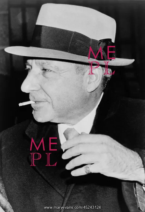 : Meyer Lansky (1902-1983), reached the executive ? : Meyer Lansky (1902-1983), reached the executive ?