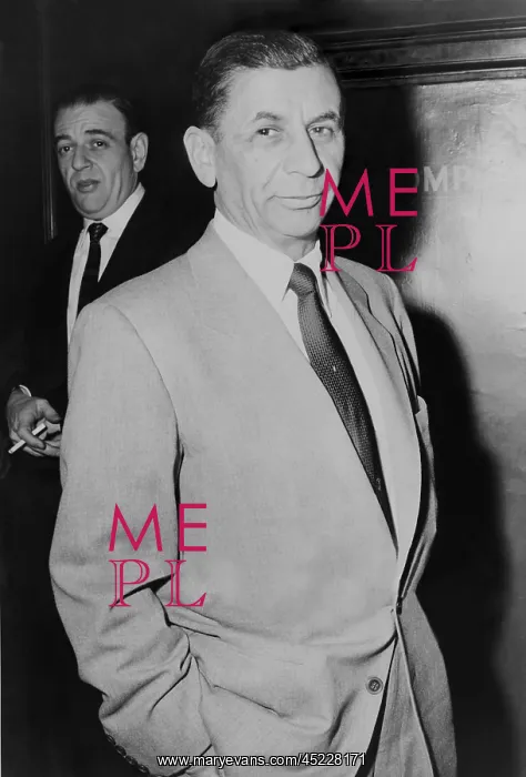 : Meyer Lansky (1902-1983), underworld financier ? : Meyer Lansky (1902-1983), underworld financier ?