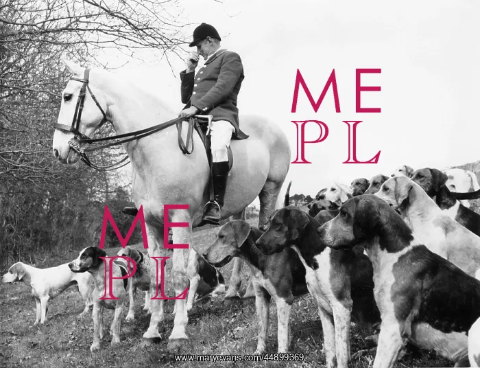 : MFH of the South Devon Foxhounds : MFH of the South Devon Foxhounds