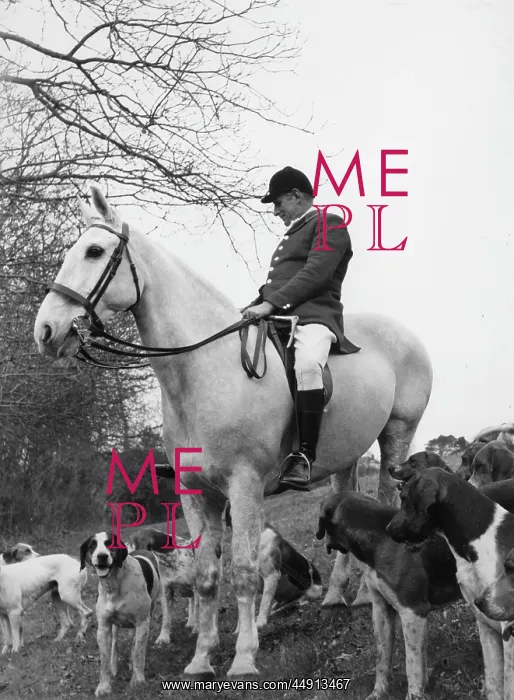  : MFH of the South Devon Foxhounds