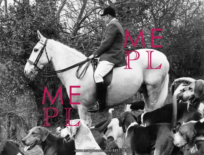 : MFH of the South Devon Foxhounds : MFH of the South Devon Foxhounds