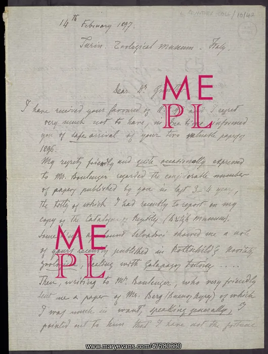 : From M.G. Peracca to A. Gunther : From M.G. Peracca to A. Gunther