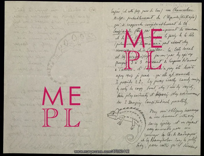 : From M.G. Peracca to A. Gunther : From M.G. Peracca to A. Gunther
