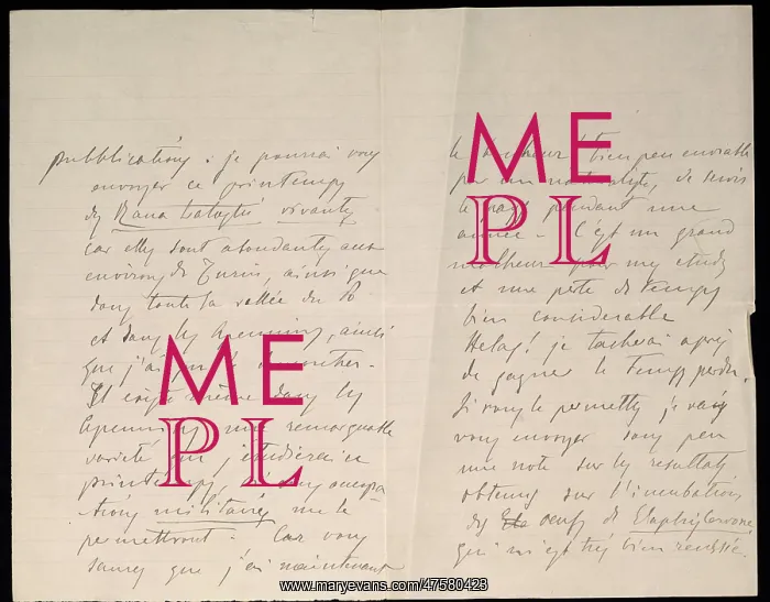 : From M.G. Peracca to A. Gunther : From M.G. Peracca to A. Gunther