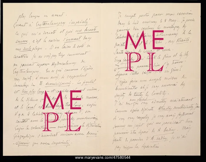 : M.G. Peracca to G.A. Boulenger : M.G. Peracca to G.A. Boulenger
