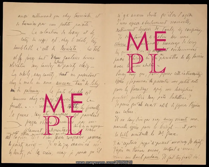 : M.G. Peracca to G.A. Boulenger : M.G. Peracca to G.A. Boulenger