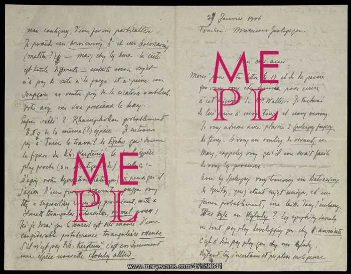 : From M.G. Perecca to G.A. Boulenger : From M.G. Perecca to G.A. Boulenger