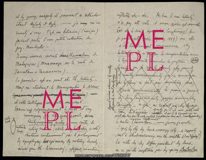 : From M.G. Perecca to G.A. Boulenger : From M.G. Perecca to G.A. Boulenger