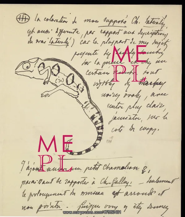 : From M.G. Perecca to G.A. Boulenger : From M.G. Perecca to G.A. Boulenger