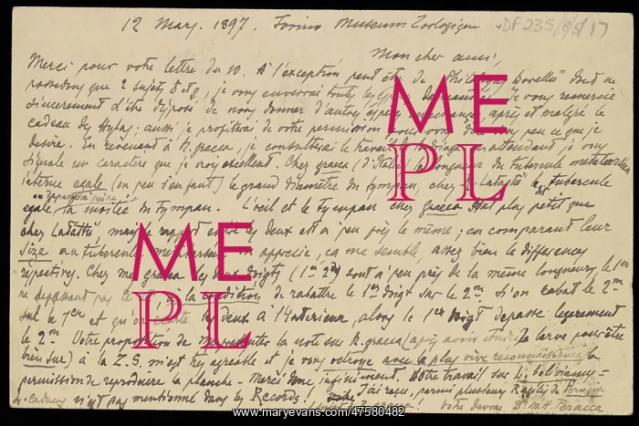 : M.G. Perecca to G.A. Boulenger : M.G. Perecca to G.A. Boulenger