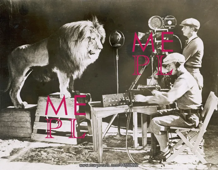 : Mgm Lion. Recording Leo the Lion's famous roar for MGM (Metro Goldwyn Mayer) Studios : Mgm Lion. Recording Leo the Lion's famous roar for MGM (Metro Goldwyn Mayer) Studios