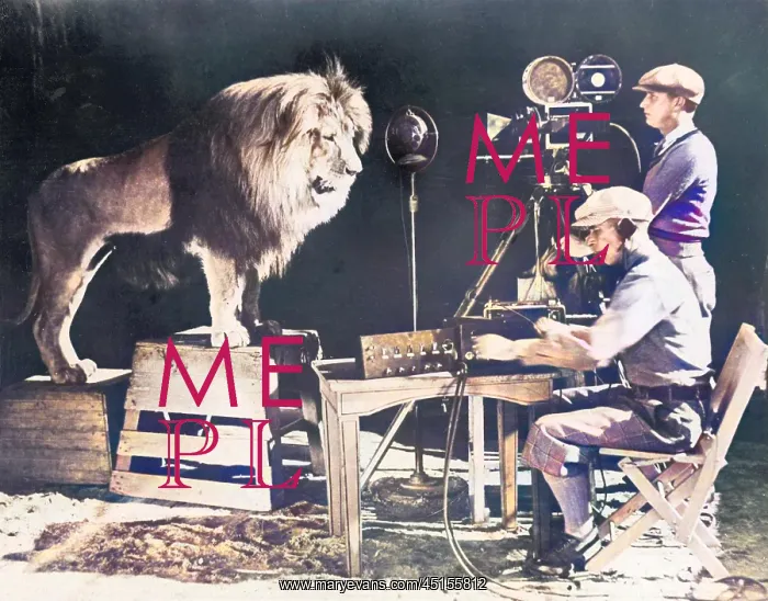  : Mgm Lion. Recording Leo the Lion's famous roar for MGM (Metro Goldwyn Mayer) Studios