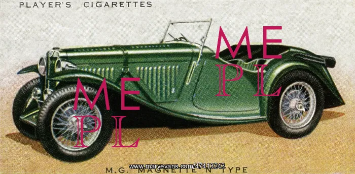  : M.G.Magnette