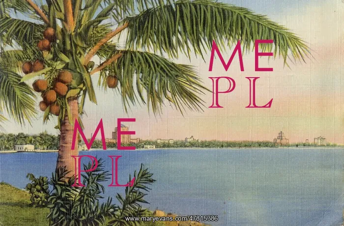  : Miami Beach, Florida, USA