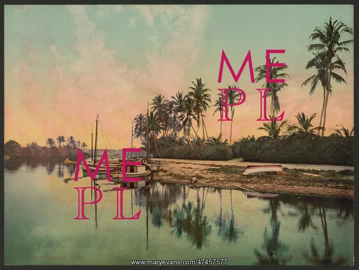  : On the Miami River