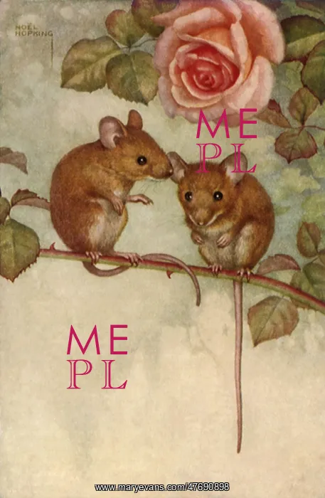  : Mice Beneath Rose
