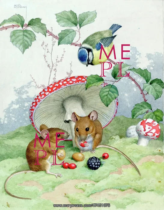 : Two Mice and a Blue Tit with Toadstools and Berries : Two Mice and a Blue Tit with Toadstools and Berries