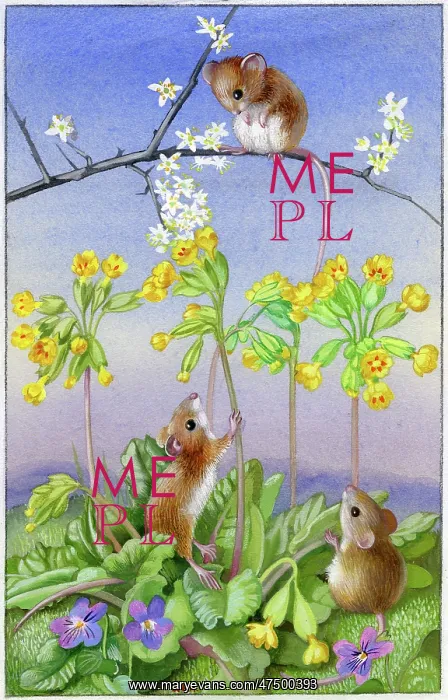 : Three mice with cowslips and violets : Three mice with cowslips and violets