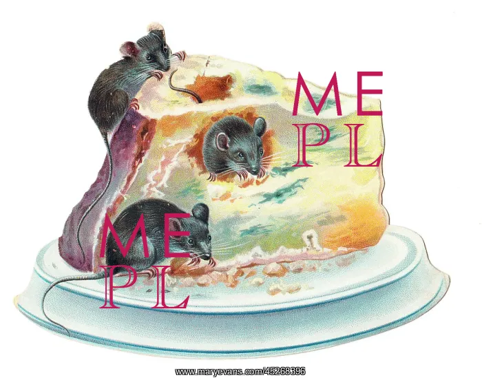  : Three mice eating cheese on a cutout greetings card