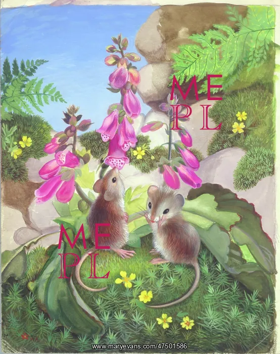 : Two Mice and Foxgloves : Two Mice and Foxgloves