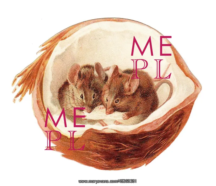  : Two mice inside a coconut on a cutout greetings card