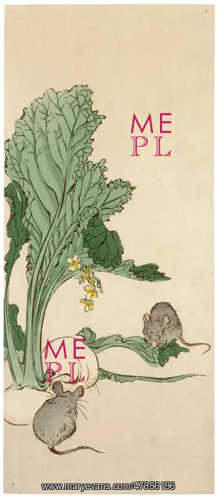 : Two mice nibble at a turnip plant : Two mice nibble at a turnip plant