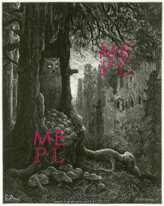 : The Mice and the Owl : The Mice and the Owl