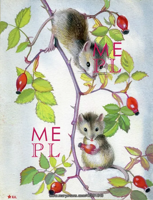  : Two Mice with Rosehips