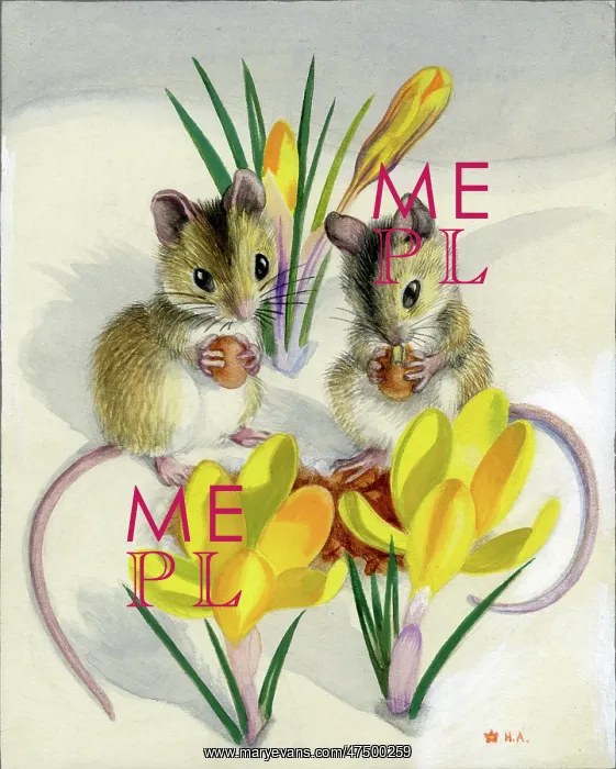  : Two mice in the snow with yellow crocuses
