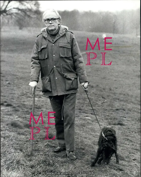 : Michael Foot, Labour MP, walking his dog : Michael Foot, Labour MP, walking his dog