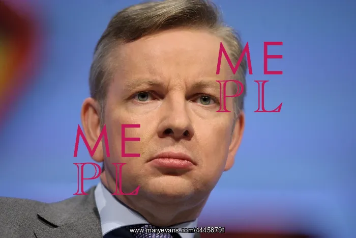  : Michael Gove MP