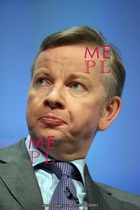  : Michael Gove MP