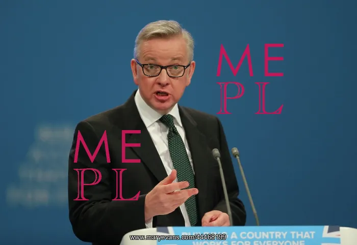  : Michael Gove MP