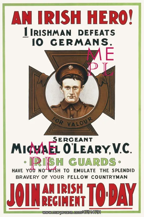 : MICHAEL O'LEARY POSTER : MICHAEL O'LEARY POSTER