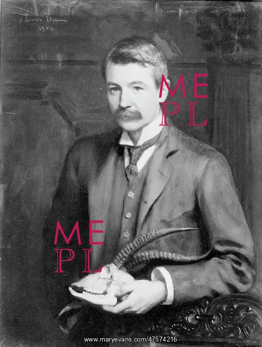 : Michael Rogers Oldfield Thomas (1858-1929) : Michael Rogers Oldfield Thomas (1858-1929)