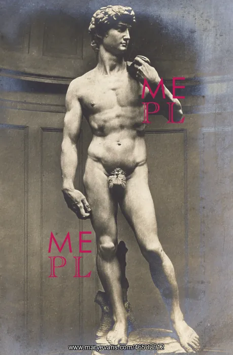: Michaelangelo's Statue of David : Michaelangelo's Statue of David