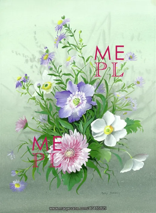 : Michaelmas daisies, etc : Michaelmas daisies, etc